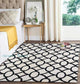 Black & White Geometric Pattern Carpet for bedrooms and living rooms